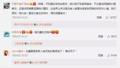 刘鑫熟人爆料视频大全,揭秘事件背后真相